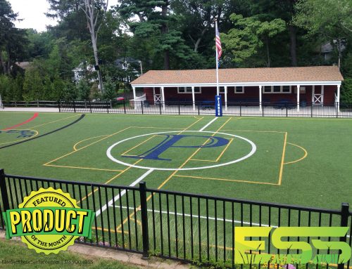 Multipurpose Sports Field – Pierce Country Day Camp,  Roslyn, NY